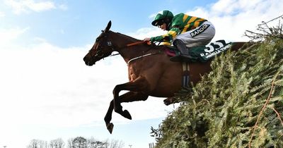 Grand National 2022: Minella Times leads Henry de Bromhead's team of Aintree runners