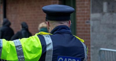 Gardai told to admit defeat if beards resemble 'badly watered lawn in heatwave'