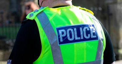 Man arrested after housebreakings and vehicle thefts in Falkirk and Stirling