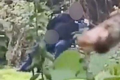 Serving Met PCSO arrested over ‘sex act’ video in park while in uniform