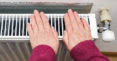 Energy petition calling for right to refuse £200 bill credit in October nears official response milestone