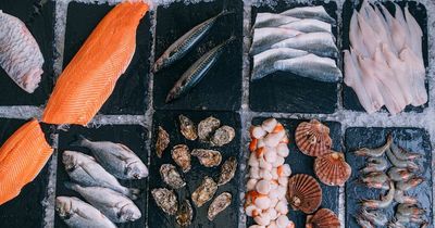 Love Seafood campaign culled as industry sets out new priorities