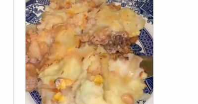 Lad mercilessly mocks pal's 'abysmal' dinners his mum lovingly prepares for him