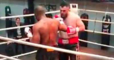 Danny Williams quits in the middle of 86th fight as fears grow for heavyweight