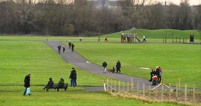 'Fake' festival plans for Wavertree fall flat