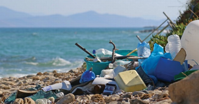 Reach for Zero: Councils and charities want producers to pay for NI plastic problem
