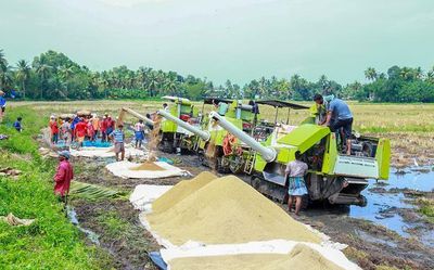 Paddy harvest in full swing in Alappuzha