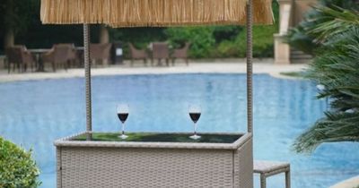 The Range are selling a tropical tiki bar for your garden in time for summer