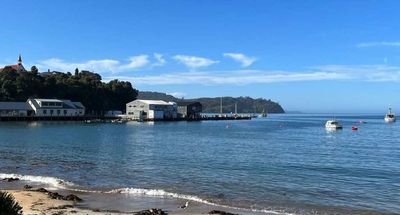 Rakiura stuck in a dark age