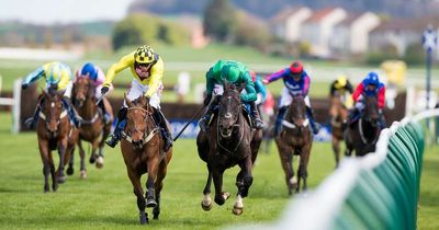 Friday racing tips: Newsboy's best bets for Ayr, Leicester, Newbury and Southwell