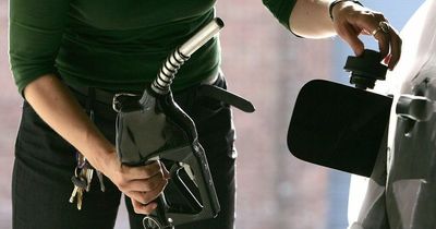 Revenue officers carrying out checkpoints targeting the misuse of green diesel amid fuel price hikes
