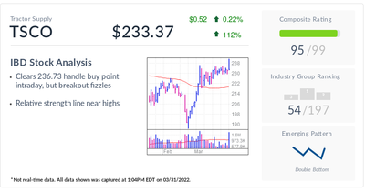 IBD Stock Of The Day: Tractor Supply Tries To Break Out After Pandemic Drives Growth