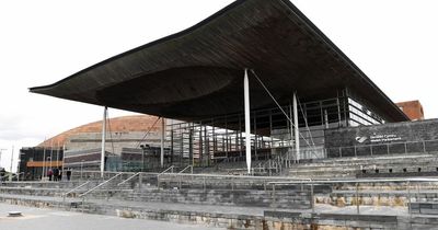 Wales moves towards a bigger Senedd with more members