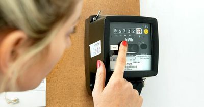 Martin Lewis says people who have just paid energy bill should still put in meter reading