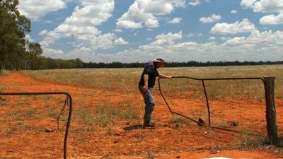 Carbon farming projects can soon be stopped by Agriculture Minister if 'adverse' to communities