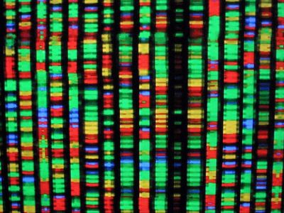 New secrets of human genome unearthed after missing segments finally sequenced