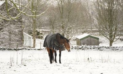 Parts of the UK wake up to snow as more wintery weather expected