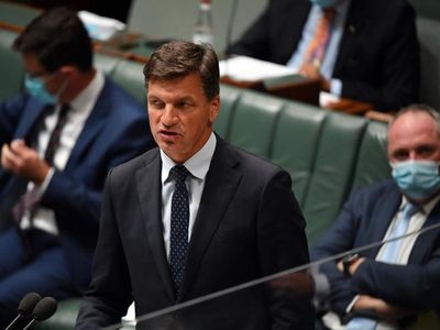 Minister rejects carbon credit criticism