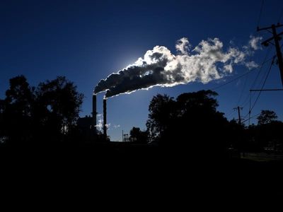'No absolute truth' on carbon credit units