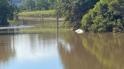 Police find car believed to belong to missing nurse in Lismore as conditions ease in northern NSW