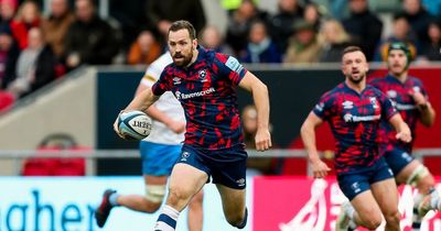 Bristol Bears facing player 'fire sale' after administrative error risks salary cap breach - reports