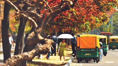 Chandigarh weather: Hot March to be followed by sweltering April, says meteorological department