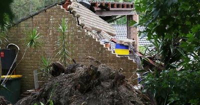 200 calls for help as trees smash young family's home