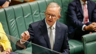 Labor promises to have nurses in aged care homes at all times within year of winning election