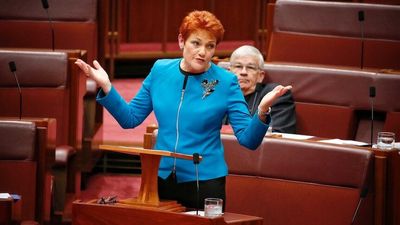 Pauline Hanson says One Nation mystery candidate Sarah Game is 'ordinary mum'