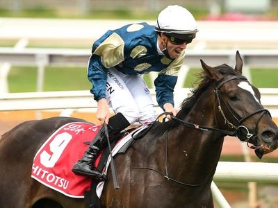 Turf war threatens global status: Messara