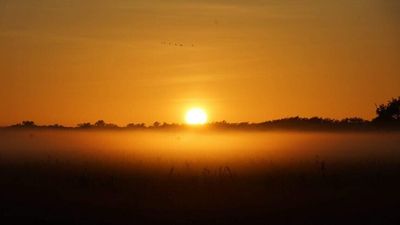 Tourism operators yet to see most of $276m pledged to Kakadu National Park by federal government after three years