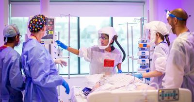 WHO warns of a global covid 'reset' if a new virus emerges