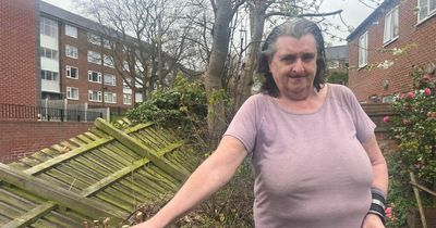 Radford woman 'too scared to sleep' after fence falls to ground leaving garden open on main road