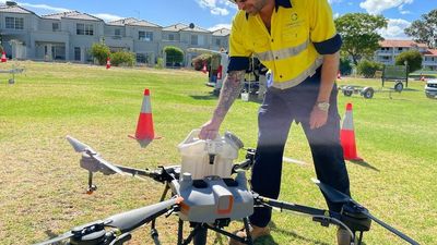Drones armed with mozzie-killing chemicals in wetlands battle with insects