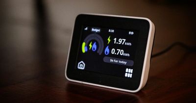 Energy price rises will mean 1 in 4 of us can't afford bills by October