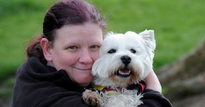 Dumfries and Galloway West Highland Terrier owners encouraged to enjoy a Westie Walk