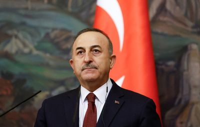 Turkey still has 30 citizens in Ukraine's Mariupol -minister