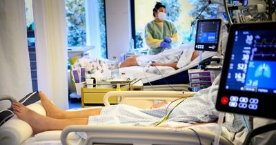 Worst-case Covid-19 scenario could see future global 'reset' says WHO