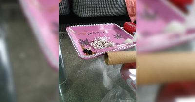 'Juveniles' arrested after police raid drug den
