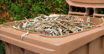 Wirral’s garden waste bins to cost more this year
