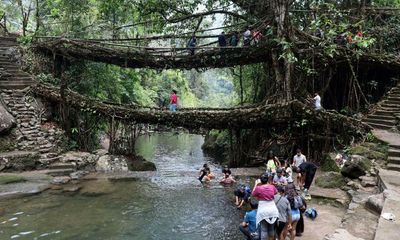 ‘The knowledge of our elders’: India’s living root bridges submitted to Unesco