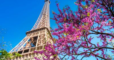 France covid travel rules explained as UK moves from orange to green list