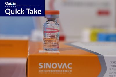 Sinovac’s Covid-19 Vaccines Give Big Boost to Shareholder’s Profits