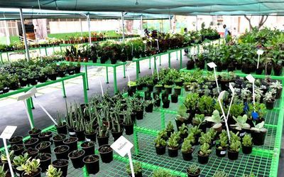 The newly-opened Stanes Garden Centre in Coimbatore aims to give a boost to urban gardening