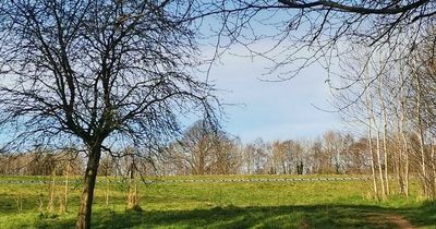 Police investigation underway after sudden death of man in Belfast