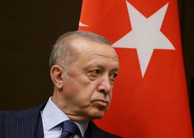 Erdogan says he will urge Putin to take steps on Donbas, Crimea with Zelenskiy