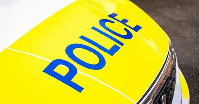 'Brazen' criminals following pattern as they 'hide in plain sight'