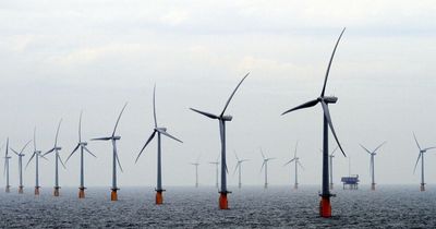 North East offshore wind firms back UK Government in EU dispute over 'discriminatory practices'