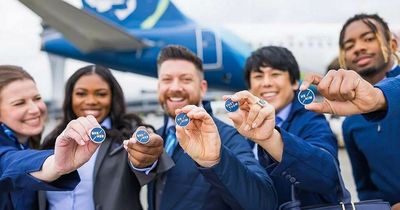 Airline to introduce gender-neutral uniforms and pronoun pins for cabin crew