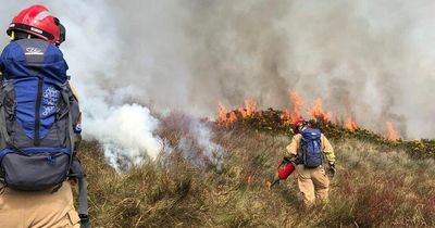 The Earth's Corr: Still so much to be done on our biodiversity issues